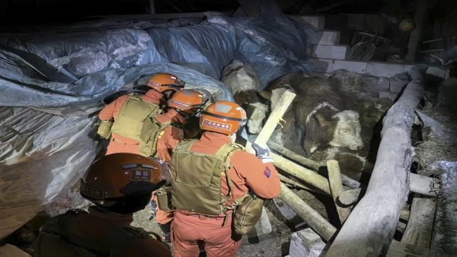 Tim penyelamat melakukan pencarian korban gempa di Xinjiang, China