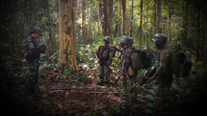VIVA Militer: Pasukan Raja Pandita di Hutan Malinau