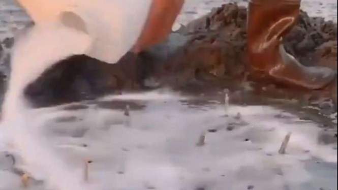 Pria Ini Tabur Garam di Pasir Pantai: Muncul Makhluk yang Bikin Merinding