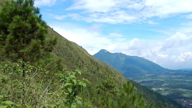 Gunung Telomoyo dilihat dari Gunung Andong.