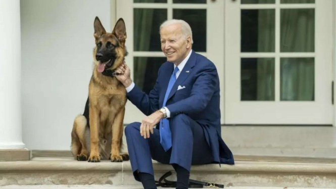Anjing Joe Biden bernama Commander