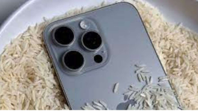 Ilustrasi Iphone direndam dalam beras