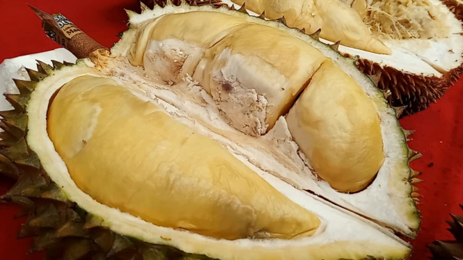 Festival Durian Semarang 2024