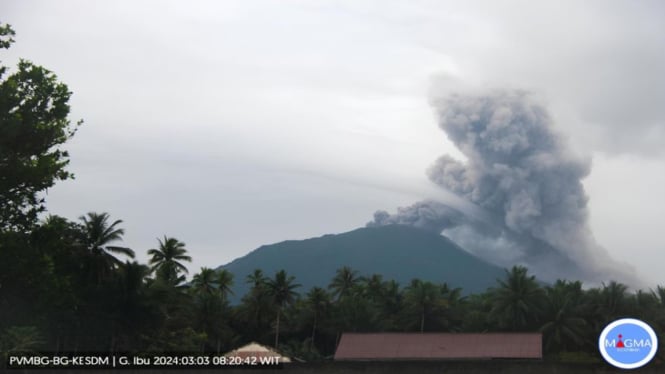 Abu vulkanik setinggi lebih kurang 800 meter akibat aktivitas erupsi Gunung Ibu