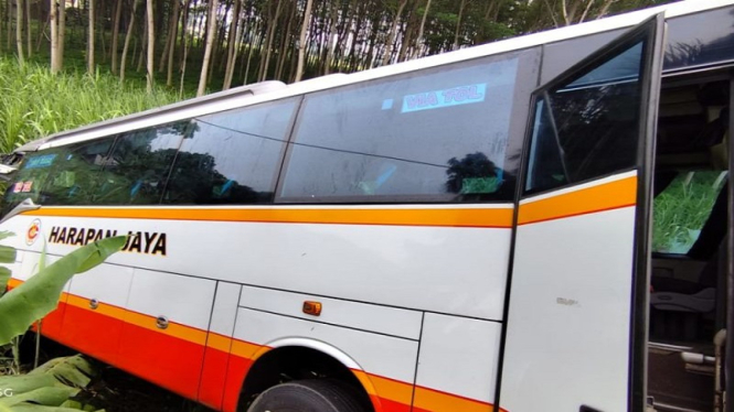 Bus Harapan Jaya terperosok ke sawah di Kediri