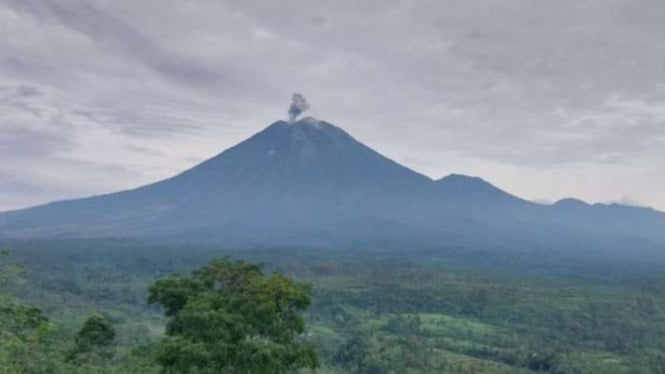 Gunung Semeru yang berada di perbatasan Kabupaten Lumajang dengan Malang, Jawa Timur, mengalami erupsi tiga kali dengan letusan setinggi hingga 1 kilometer pada Sabtu, 9 Maret 2024.