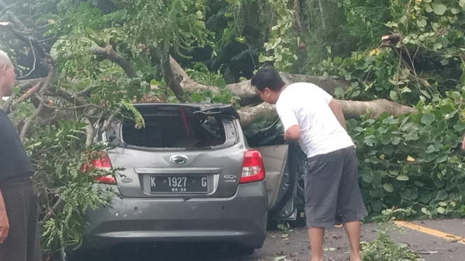 Mobil Datsun ringsek usai tertimpa pohon imbas hujan dan angin di Semarang