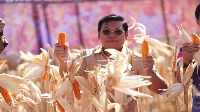 Kepala Bapanas Arief Prasetyo Adi melakukan panen jagung
