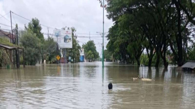 Banjir kembali landa Karanganyar Demak akibat tanggul Sungai Wulan Jebol lagi.