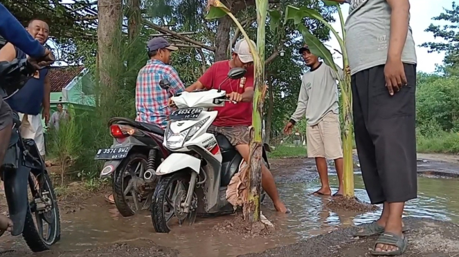 Moradores plantam bananeiras em protesto contra estradas danificadas