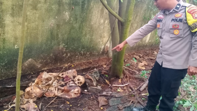 Kerangka manusia ditemukan di samping eks Gedung PT Semen Baturaja Palembang.