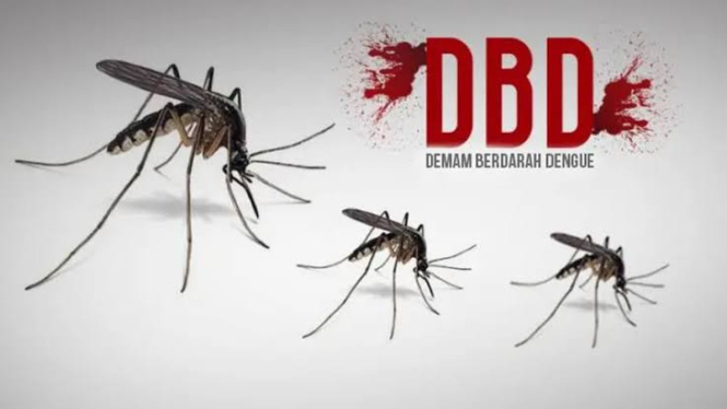 Ilustrasi kasus demam berdarah dengue (DBD)