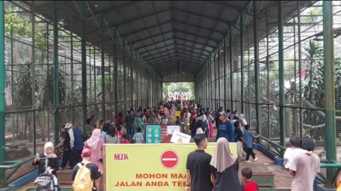 Kondisi pengunjung di Taman Margasatwa Ragunan