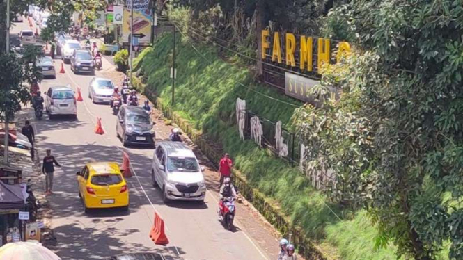 Kepadatan arus lalu lintas kendaraan di daerah wisata Lembang, Bandung Barat