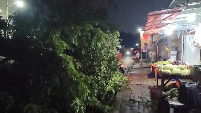 Pohon tumbang di Jalan Arjuna timpa motor