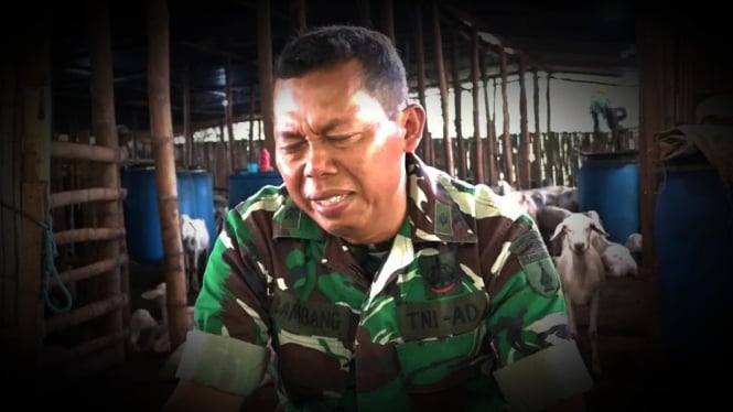 VIVA Militer: Peltu Bambang