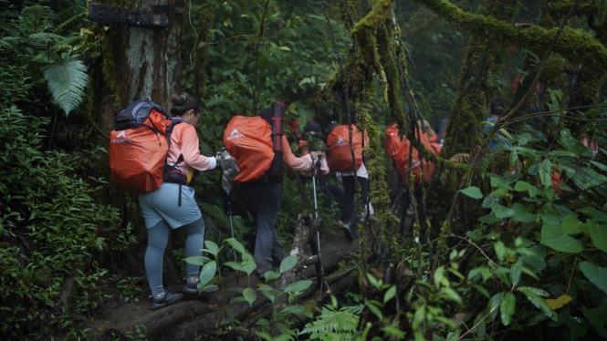 Pendaki menelusuri jalur Gunung Kembang via Blembem di Wonosobo, Jawa Tengah.