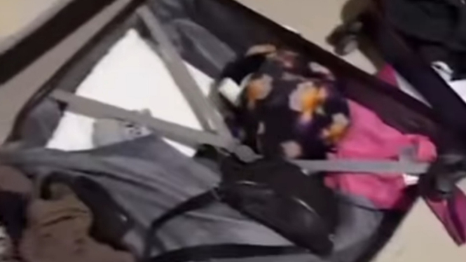 Isi koper bule Polandia yang diduga hilang sebagian - Foto: Tangkapan Layar Instagram