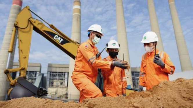 Arsip foto - Petugas PLN melakukan pengecekan terhadap biomassa yang berasal dari serbuk kayu untuk digunakan sebagai substitusi bahan bakar batu bara atau (co-firing) di Pembangkit Listrik Tenaga Uap (PLTU) Suralaya, Cilegon, Banten.