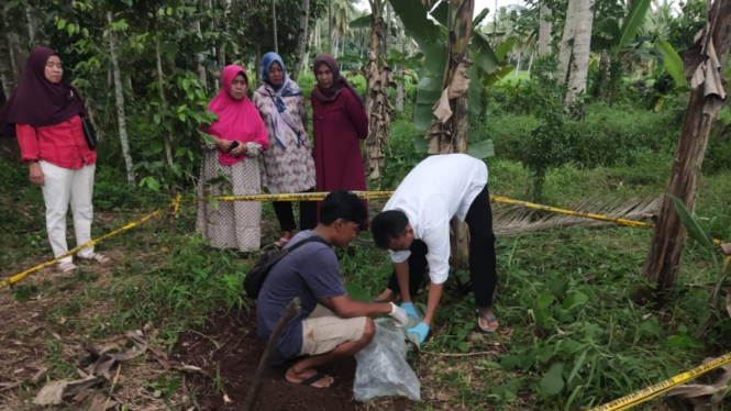 Lokasi ditemukannya mayat bayi terkubur di Tanggamus, Lampung