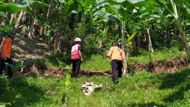 Petugas dan relawan Tanggap Darurat Bencana (TDB) pergerakan tanah di Kecamatan Bojongpicung, sedang memantau patahan yang masih terjadi setelah satu pekan terakhir, Senin, 6 Mei 2024.