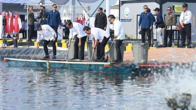 Presiden Jokowi di Tambak Budi Daya Ikan Nila Karawang, Jawa Barat