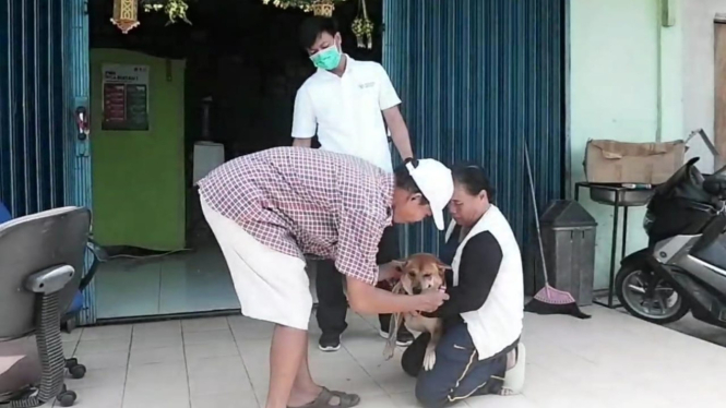 Petugas kesehatan memberikan vaksin anti rabies kepada anjing peliharaan warga di Kabupaten Landak, Kalimantan Barat