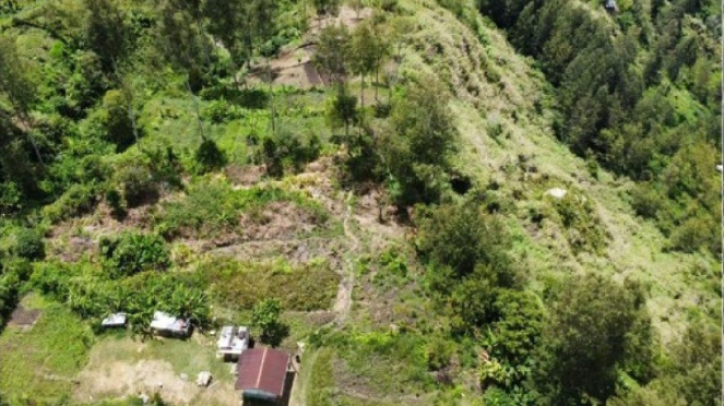 A primera hora de la mañana en Papúa, grupos de trabajo del TNI atacan el bastión del OPM en el bosque de Pogapa.