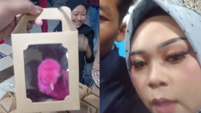 Viral Pernikahan dengan Souvenir Unik, Anak Ayam Warna Warni