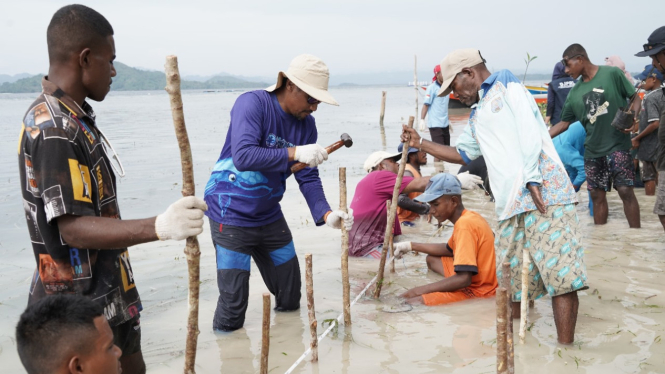 Pelindo lakukan kegiatan pelestarian lingkungan di kawasan Raja Ampat