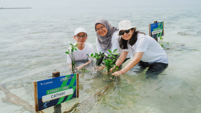 Penanaman Mangrove di Pulau Pramuka '1 tiket 1 pohon'