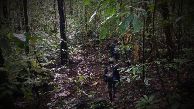 VIVA Militer: Pasukan Yudha Sakti TNI gempur OPM