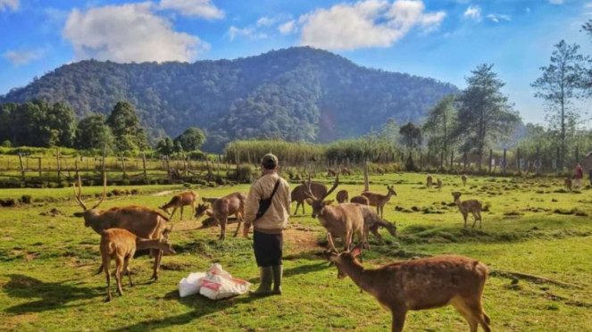 Wisata Ranca Upas Bandung