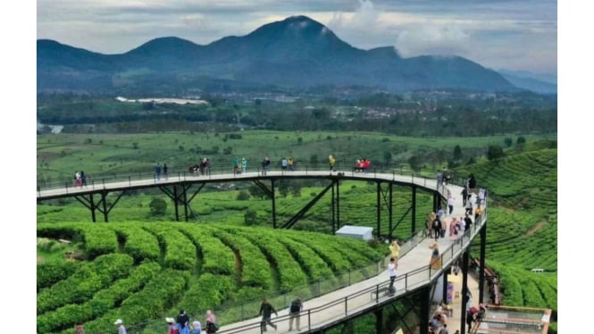 Wisata Nimo Highland di Pengalengan Bandung