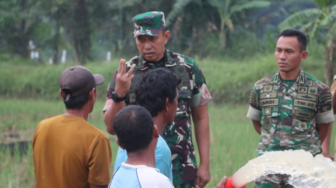 VIVA Militar: Major General do TNI Ahmed Rizal Ramdhani e Tenente-Coronel Inf Ardiansyah em campos de arroz