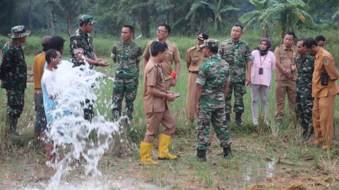 VIVA Militar: Major General do TNI Ahmed Rizal Ramdhani e Tenente-Coronel Inf Ardiansyah em campos de arroz