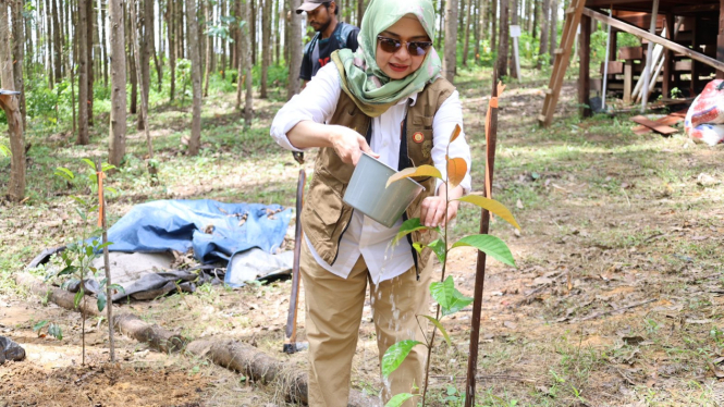 Deputi Bidang Lingkungan Hidup dan Sumber Daya Alam Otorita IKN, Myrna Safitri Saat menanam pohon di miniatur hutan tropis di IKN