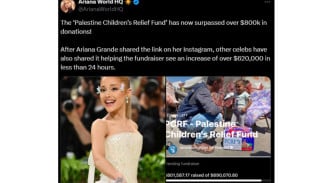 Ariana Grande Kumpulkan Donasi untuk Palestina, Tembus Rp13 Miliar!