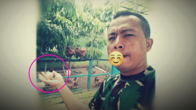 VIVA Militer: Sersan Nuy pamer telur ayam 