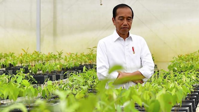 Presiden Joko Widodo (Jokowi) di Persemaian Mentawir Kalimantan Timur