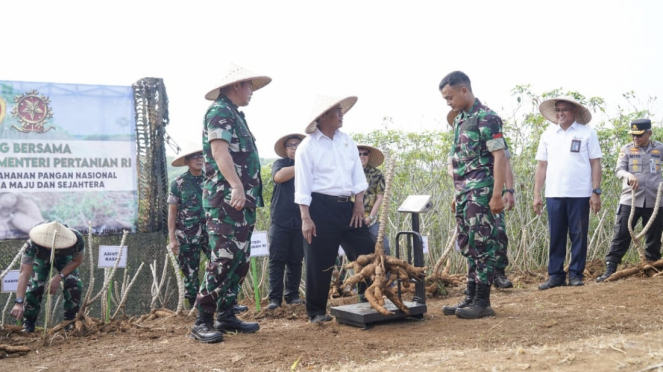 VIVA Militer: Mentan RI Amran Sulaiman bersama Kasad panen singkong