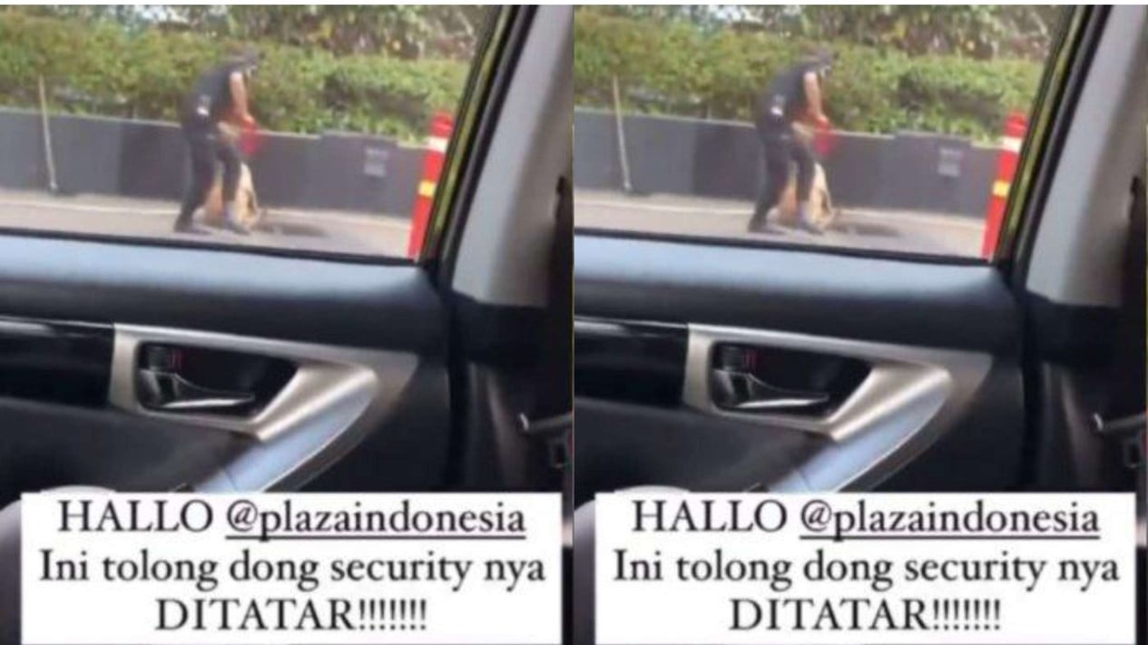 Buntut Viral Video Sekuriti Pukul Anjing, Pihak Mall Plaza Indonesia Minta  Maaf