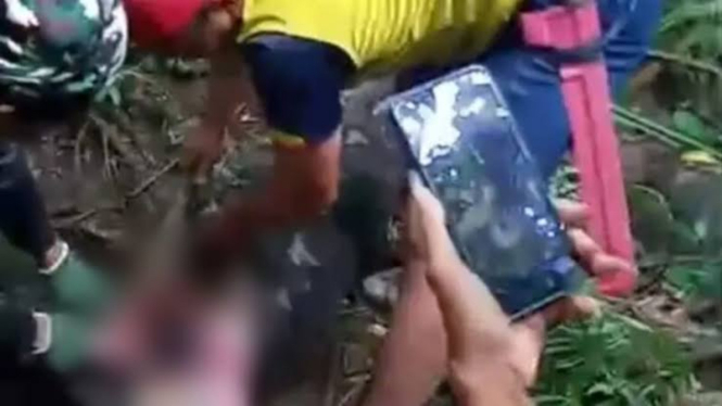 Wanita di Sidrap tewas ditelan ular Piton. (Tangkapan layar video viral/istimewa).a