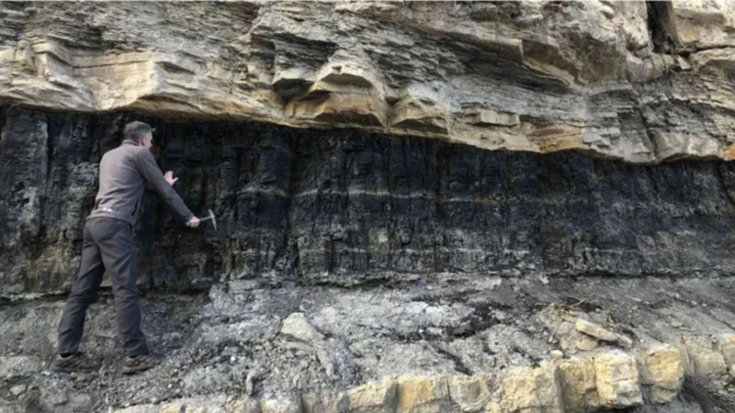 Ahli geologi memeriksa singkapan batu bara dekat tambang tua Star Point di Utah, AS.
