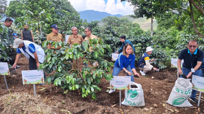 Mengintip Revitalisasi Kebun Kopi Cikoneng Bogor