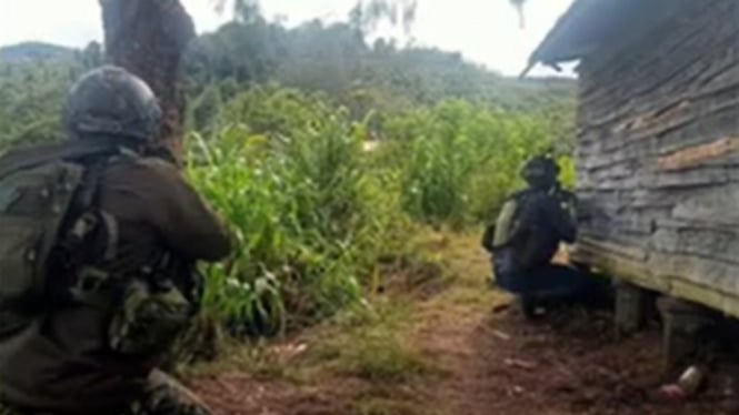 VIVA Militer: Satgas TNI buru kelompok OPM pimpinan Undius Kogoya di Bibida