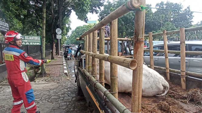 [dok. Suku Dinas Penanggulangan Kebakaran dan Penyelamatan Jakarta Timur]