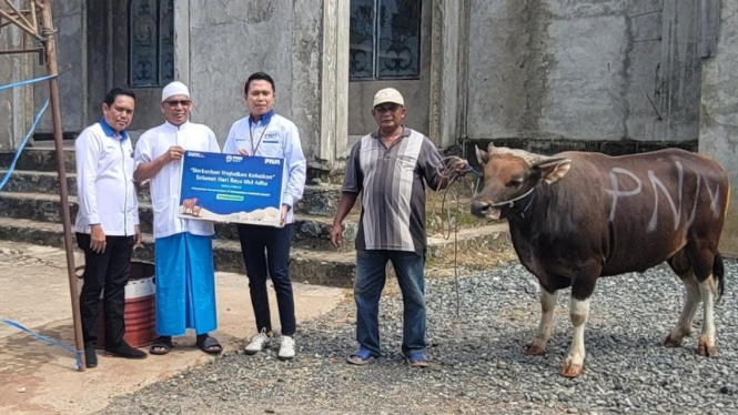 PNM menyalurkan hewan kurban di berbagai titik di seluruh Indonesia