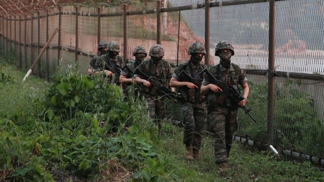 VIVA Militer: Tentara Korea Selatan di Zona Demiliterisasi Korea (DMZ)