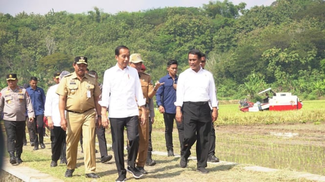 Presiden Jokowi dan Menteri Pertanian, Andi Amran Sulaiman (dok: Kementan)